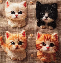 Lade das Bild in den Galerie-Viewer, Baumwollstoff I Bunte Süße Kätzchen Lustige Katzen 3D-Effekt