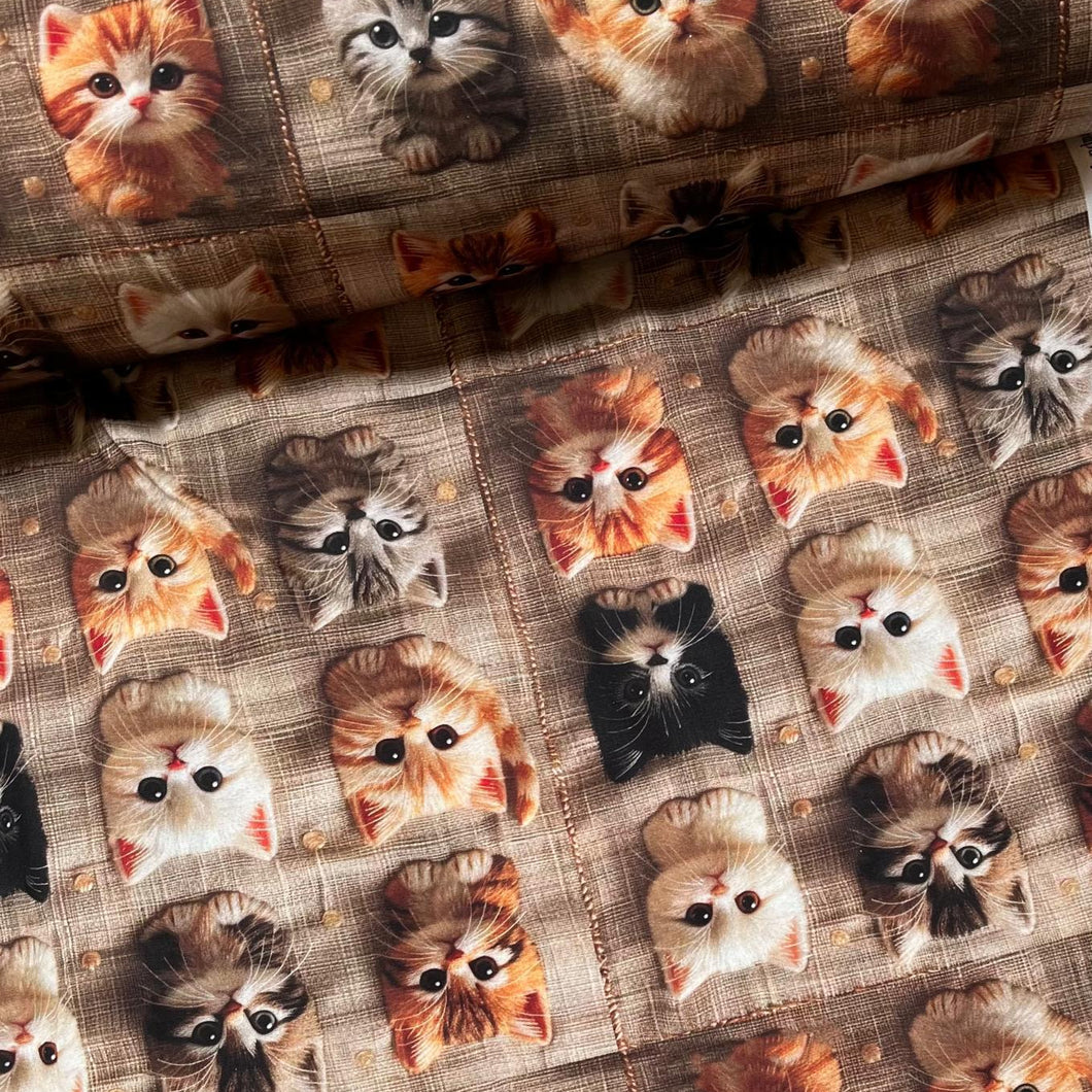 Baumwollstoff I Bunte Süße Kätzchen Lustige Katzen 3D-Effekt